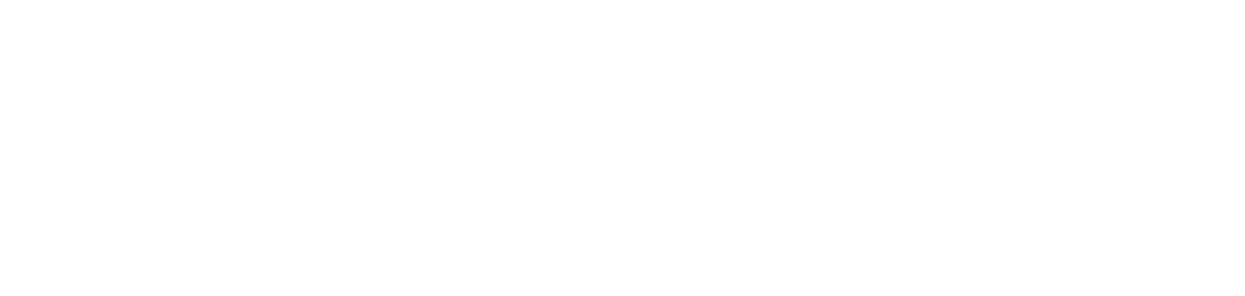 Nina E-commerce Solutions